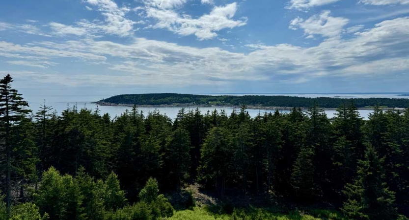 From a high elevation, there are trees and blue body of water below. 